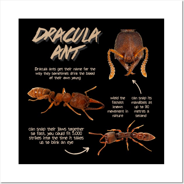 Dracula Ant Fun Facts Wall Art by Animal Facts and Trivias